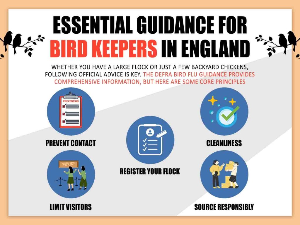Essential Guidance for Bird Keepers in England