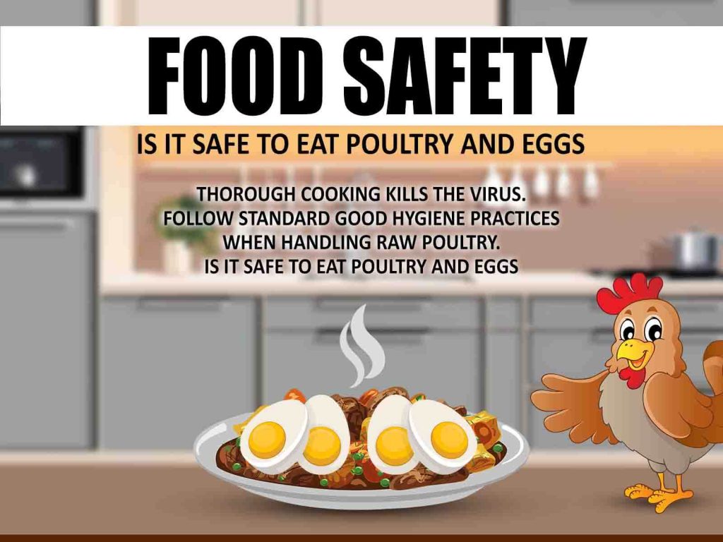 Food Safety Is It Safe to Eat Poultry and Eggs