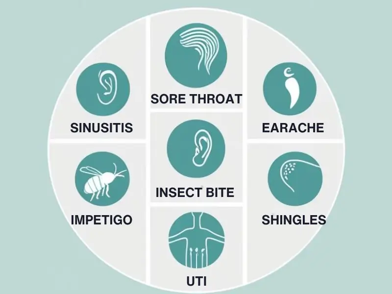 7 NHS Pharmacy First conditions: sinusitis, sore throat, earache, insect bites, impetigo, shingles, UTI.