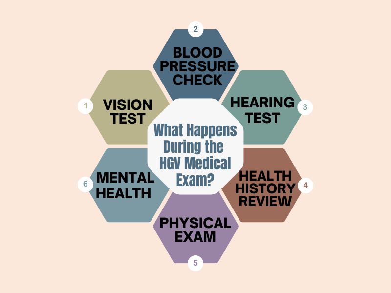 HGV driver undergoing medical exam in the UK