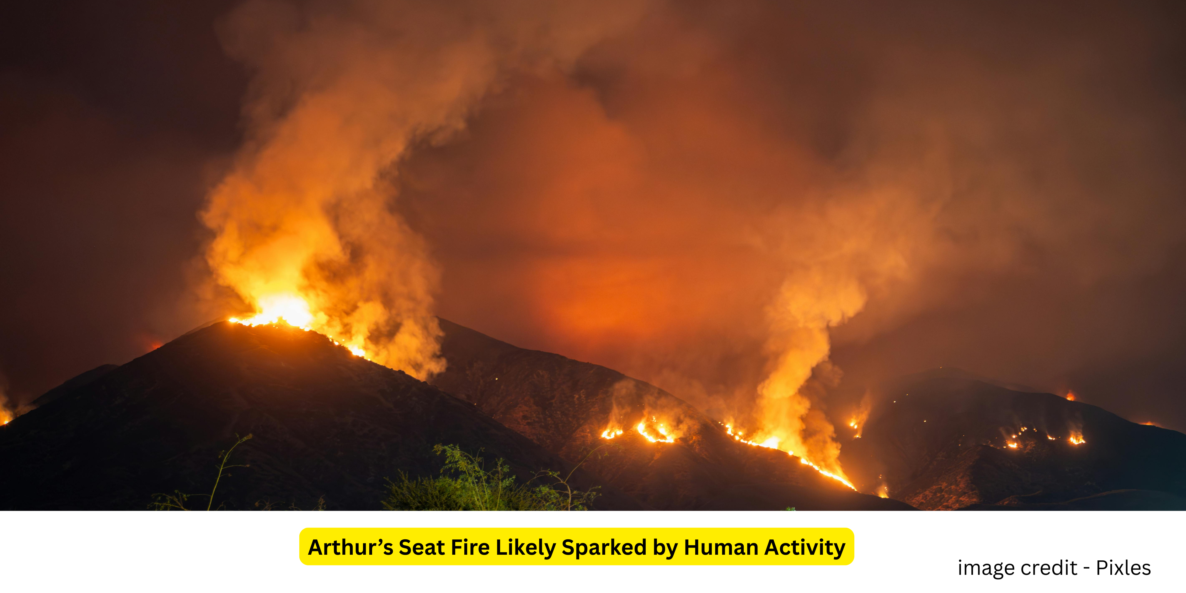 British Portal | Your UK Guide – Benefits, Services & Information