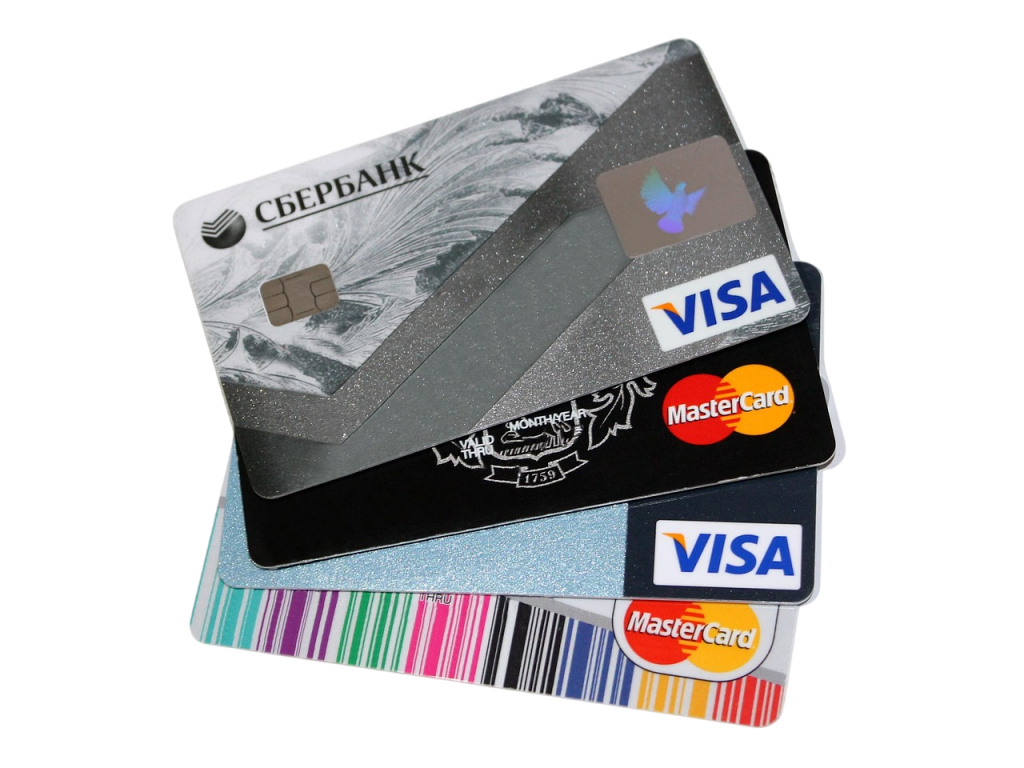 What is an eVisa system and how it works